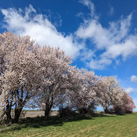 La Hacendera Entre Hoces - 20-28pax-10 Hab Con Banos En * Мадеруэло