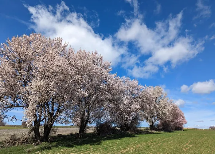 La Hacendera Entre Hoces - 20-28pax-10 Hab Con Banos En * Maderuelo